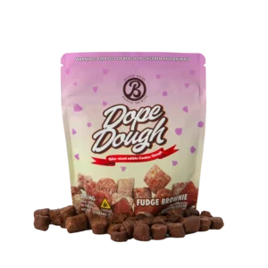 FUDGE BROWNIE D9